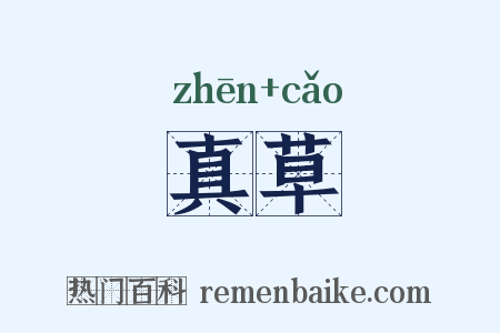 真草是什么意思的图片